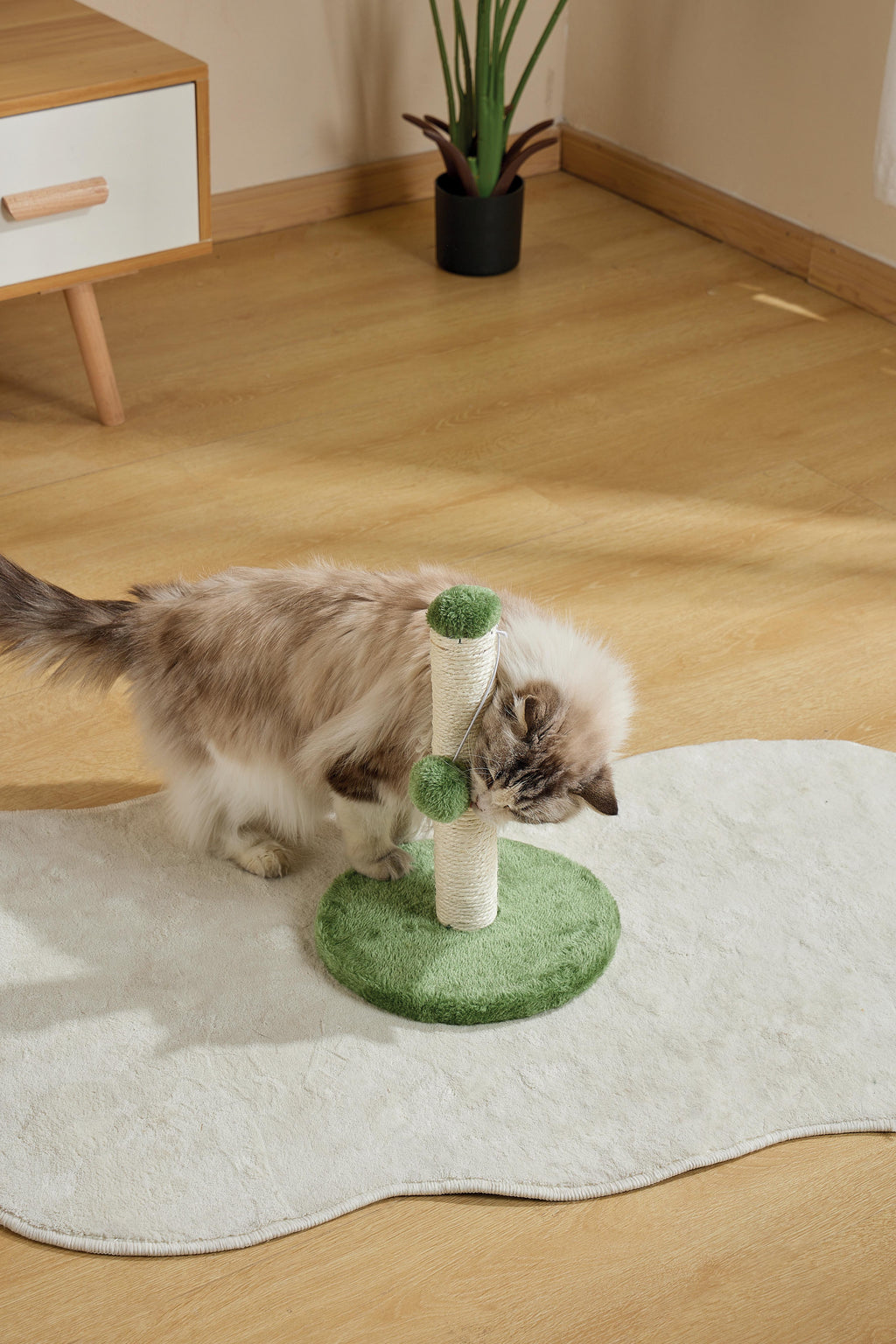 MY FIRST CAT TREE Pompom Green