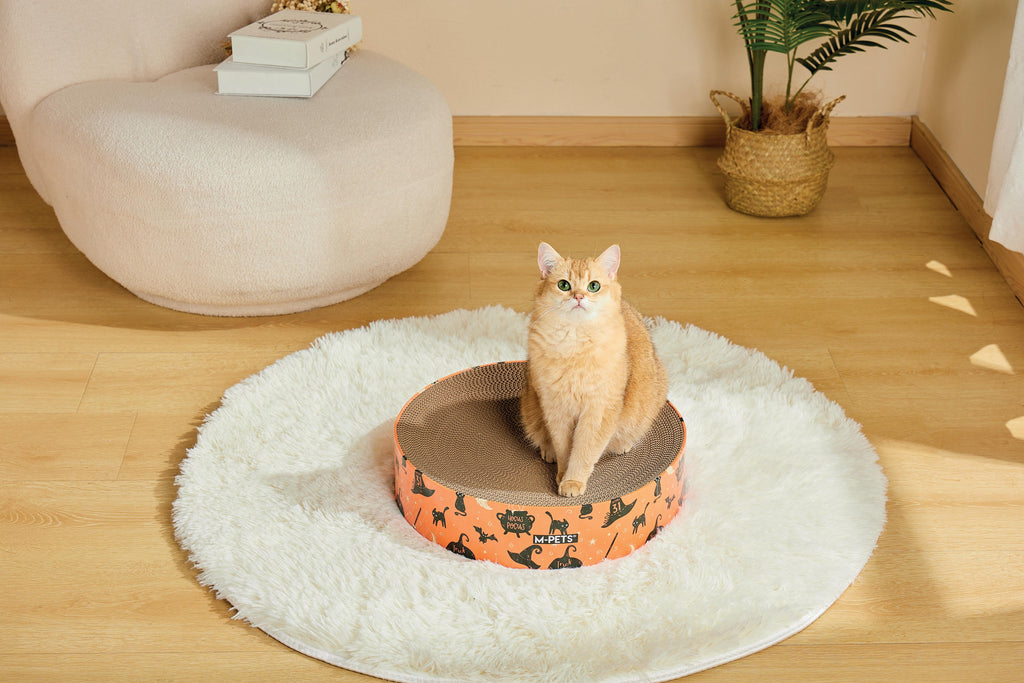 Halloween Cat Scratcher - Mystic mix