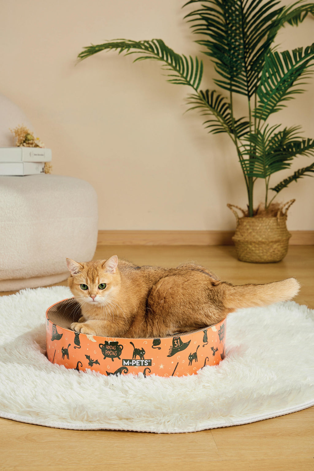 Halloween Cat Scratcher - Mystic mix