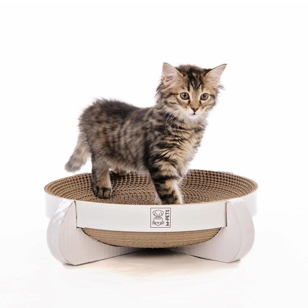 CLEVELAND Scratch Board