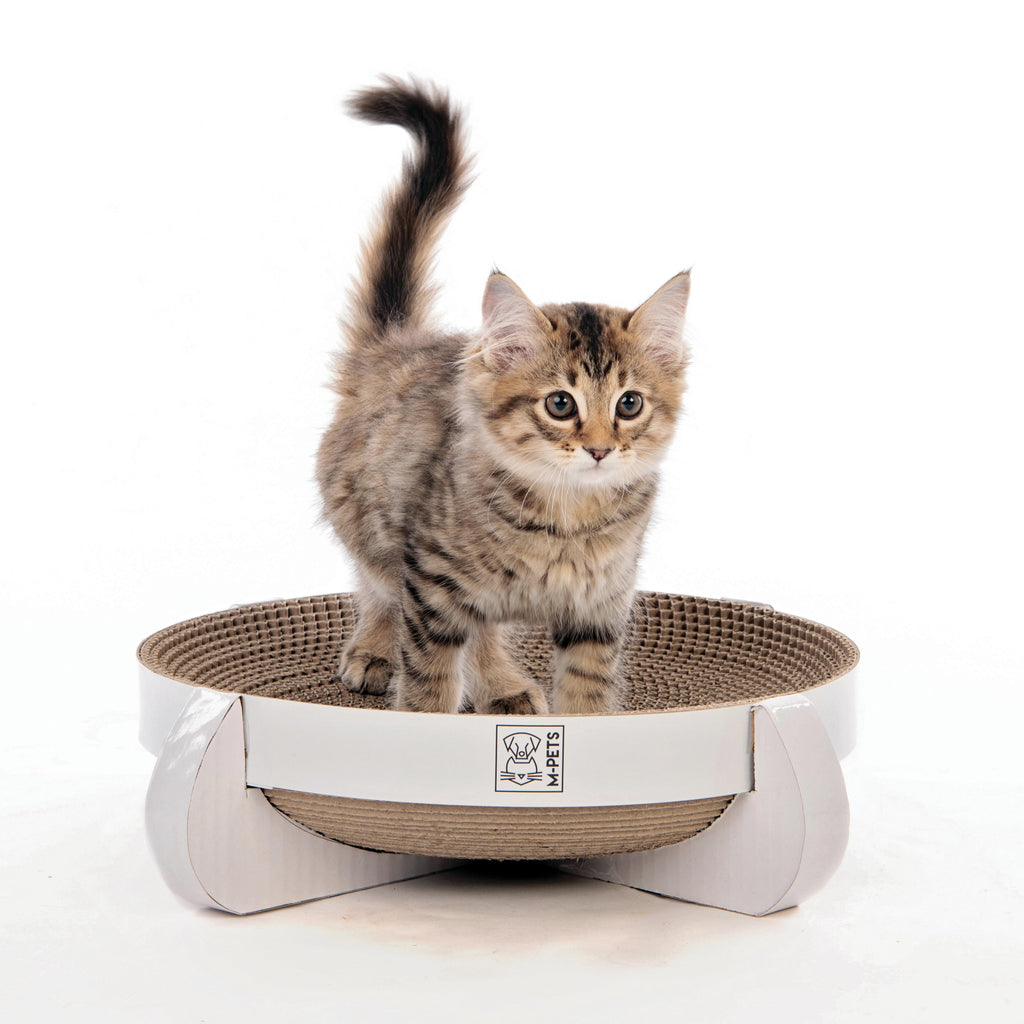 CLEVELAND Scratch Board