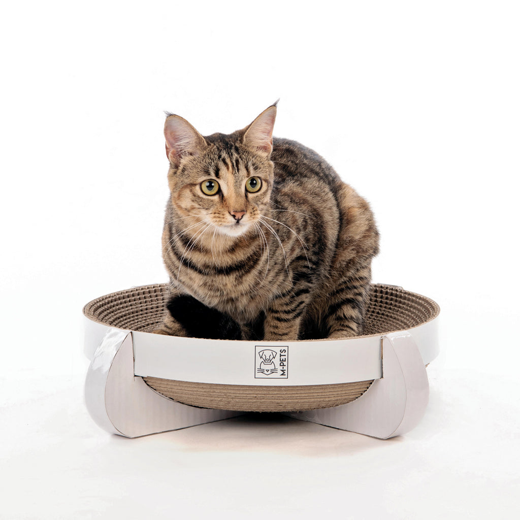 CLEVELAND Scratch Board