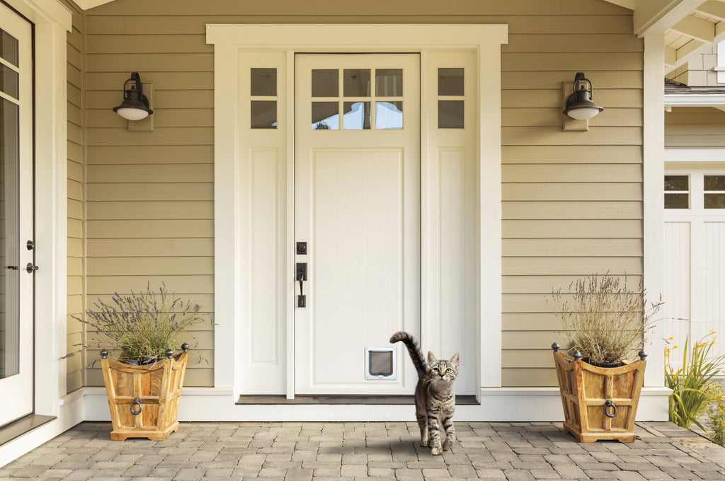 DORAS Cat Door - 2 way locking White