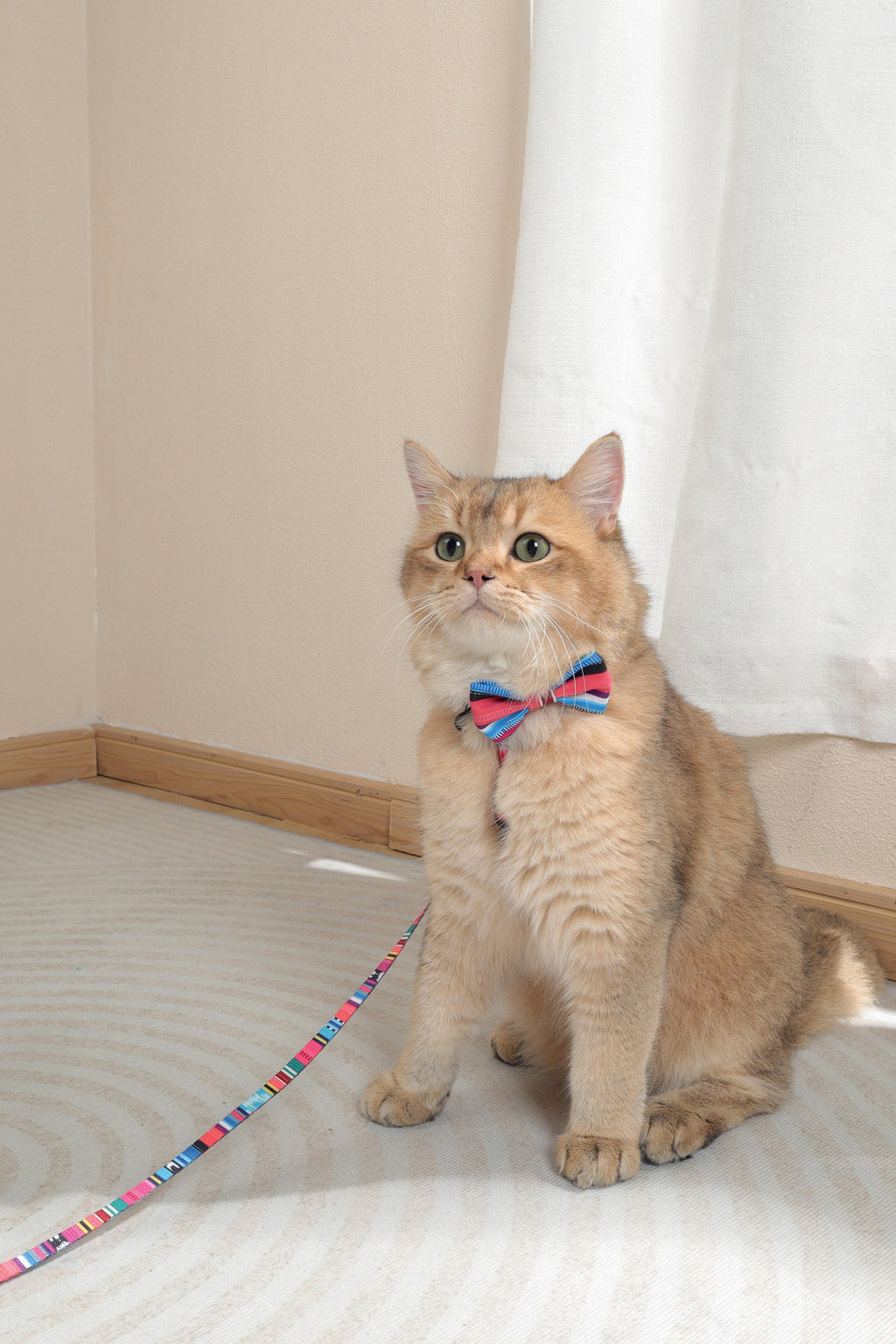 URBAN STYLE Jazz Stripes Bow Tie
