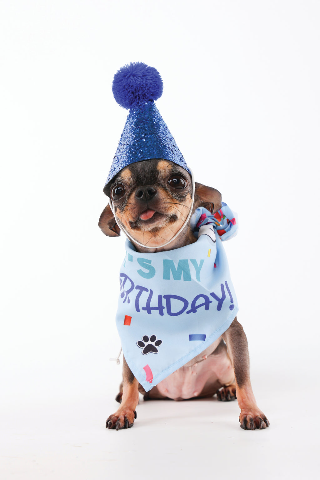 PARTY TIME Dog Gentleman's set