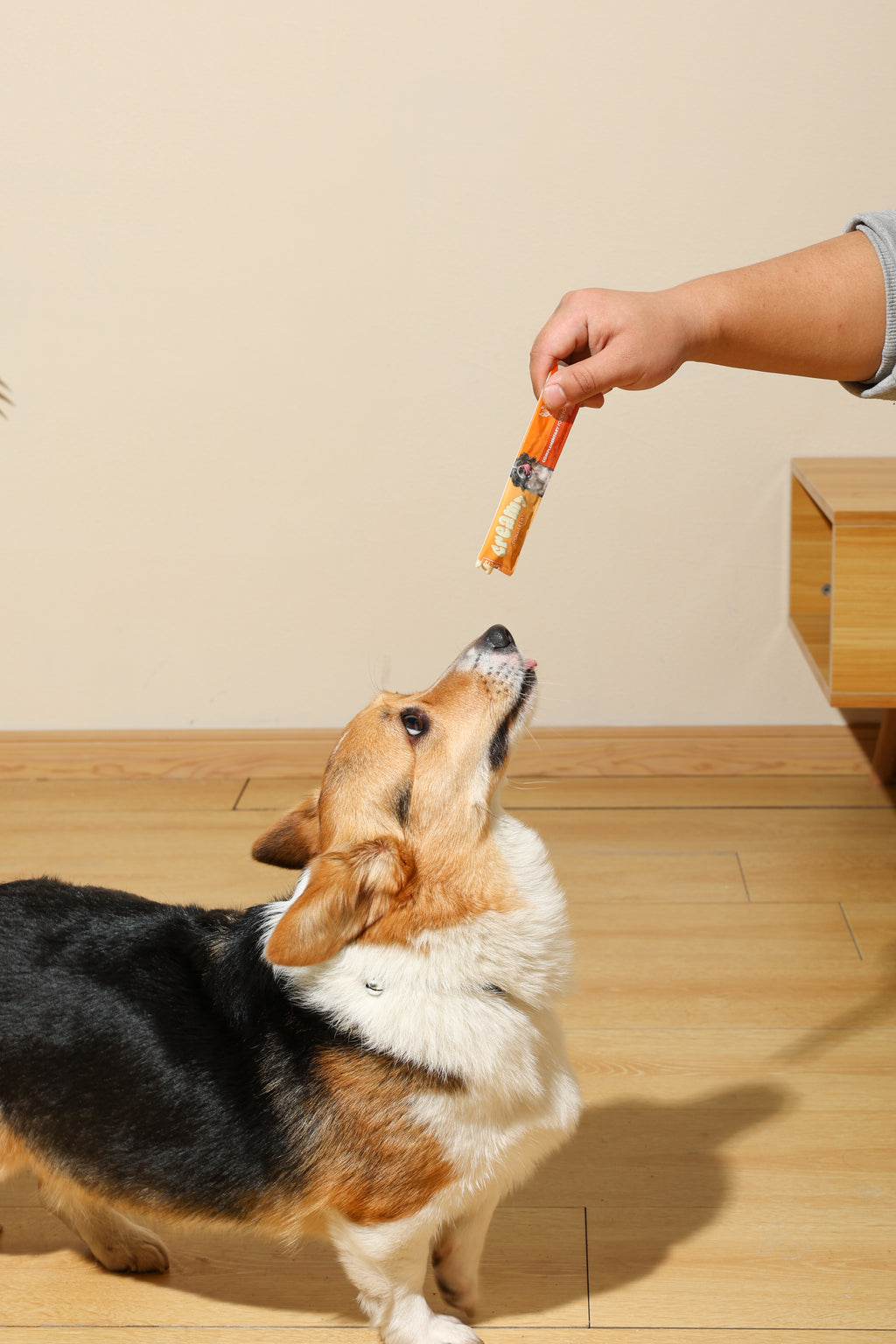 Creamy Treats for Dogs - Chicken