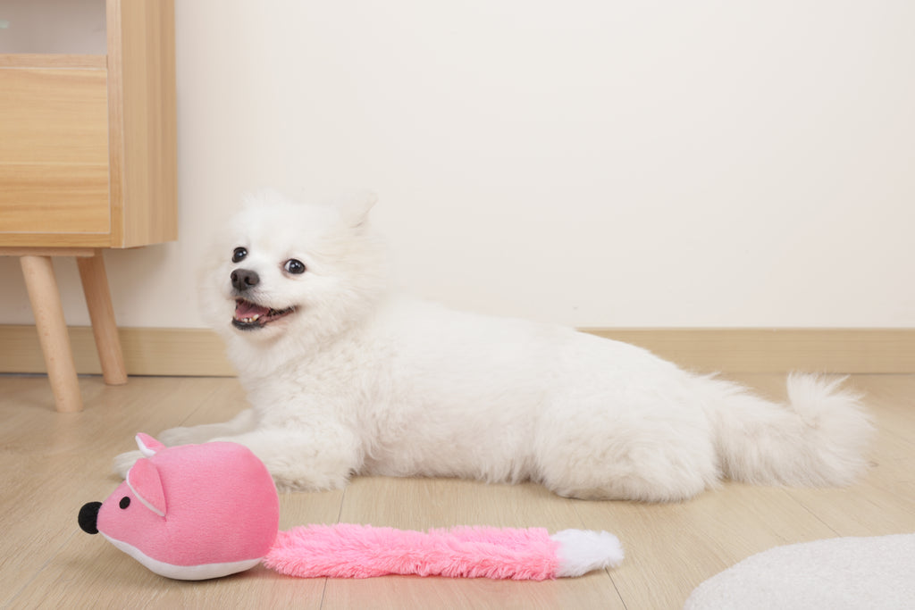 GRINGO Foxes Squeaker