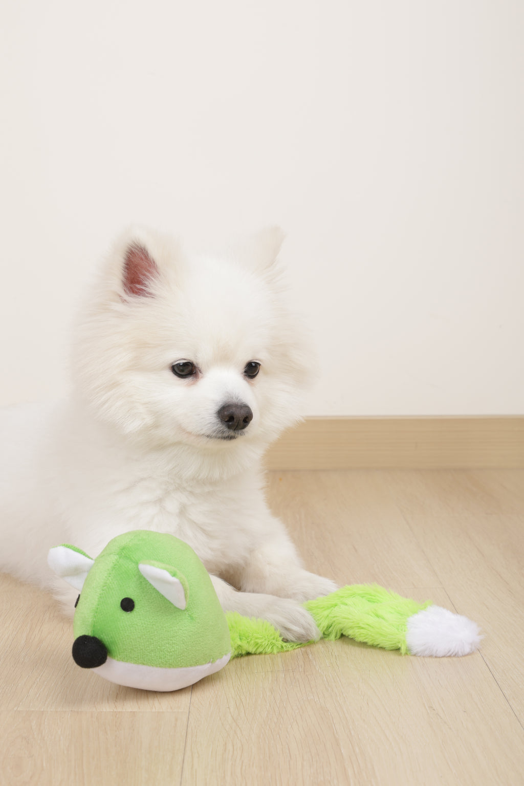 GRINGO Foxes Squeaker