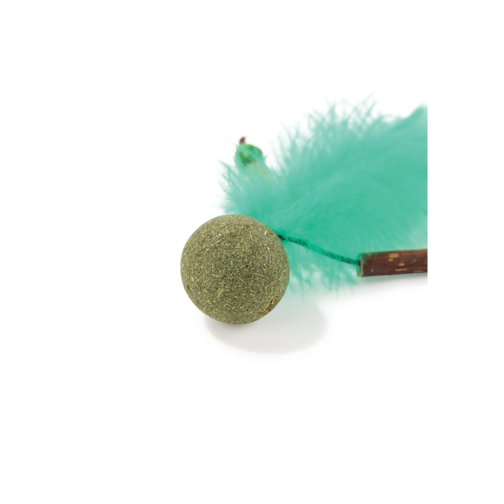 CHARMY Catnip Toy - BUGBEAR Green