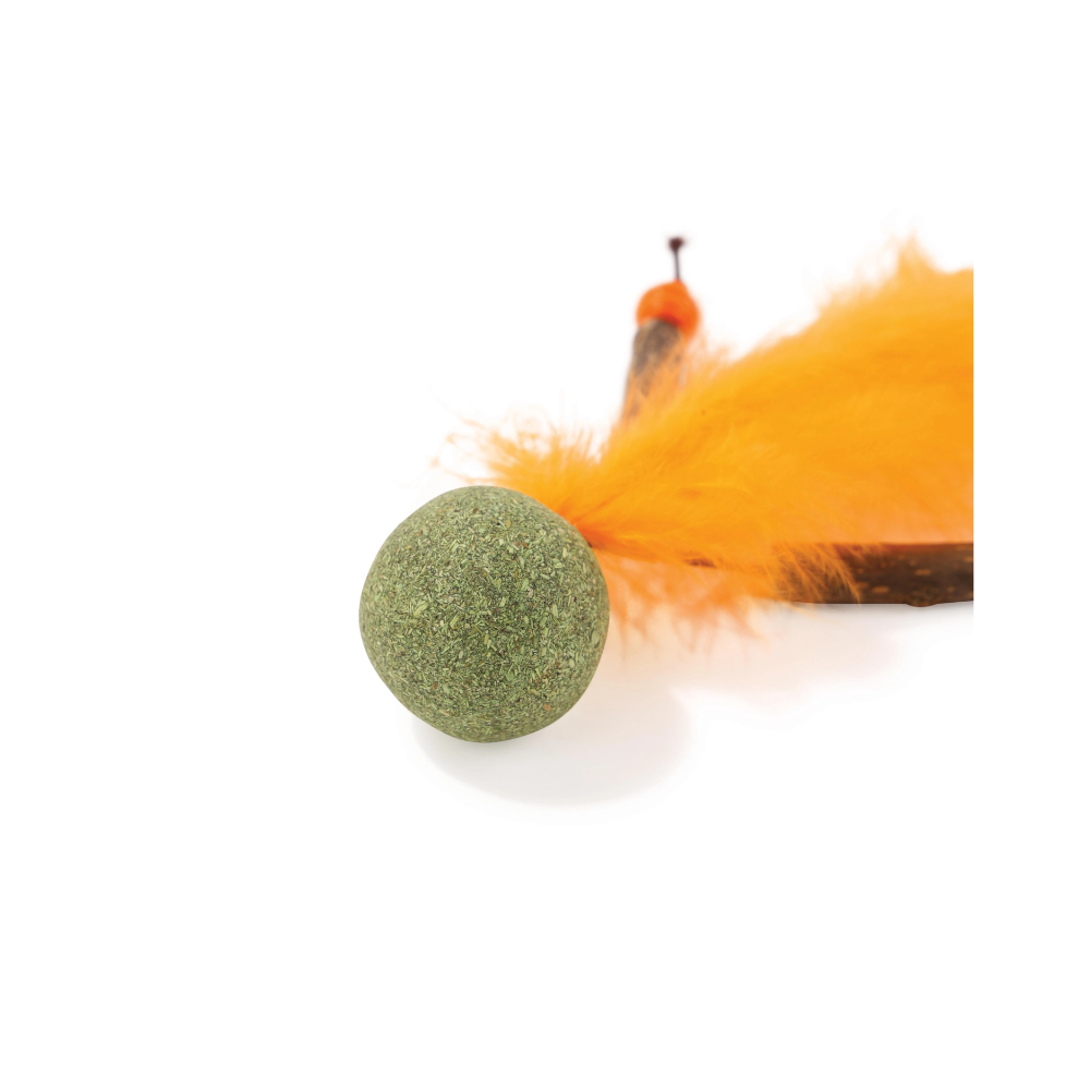 CHARMY Catnip Toy - BUGBEAR Orange