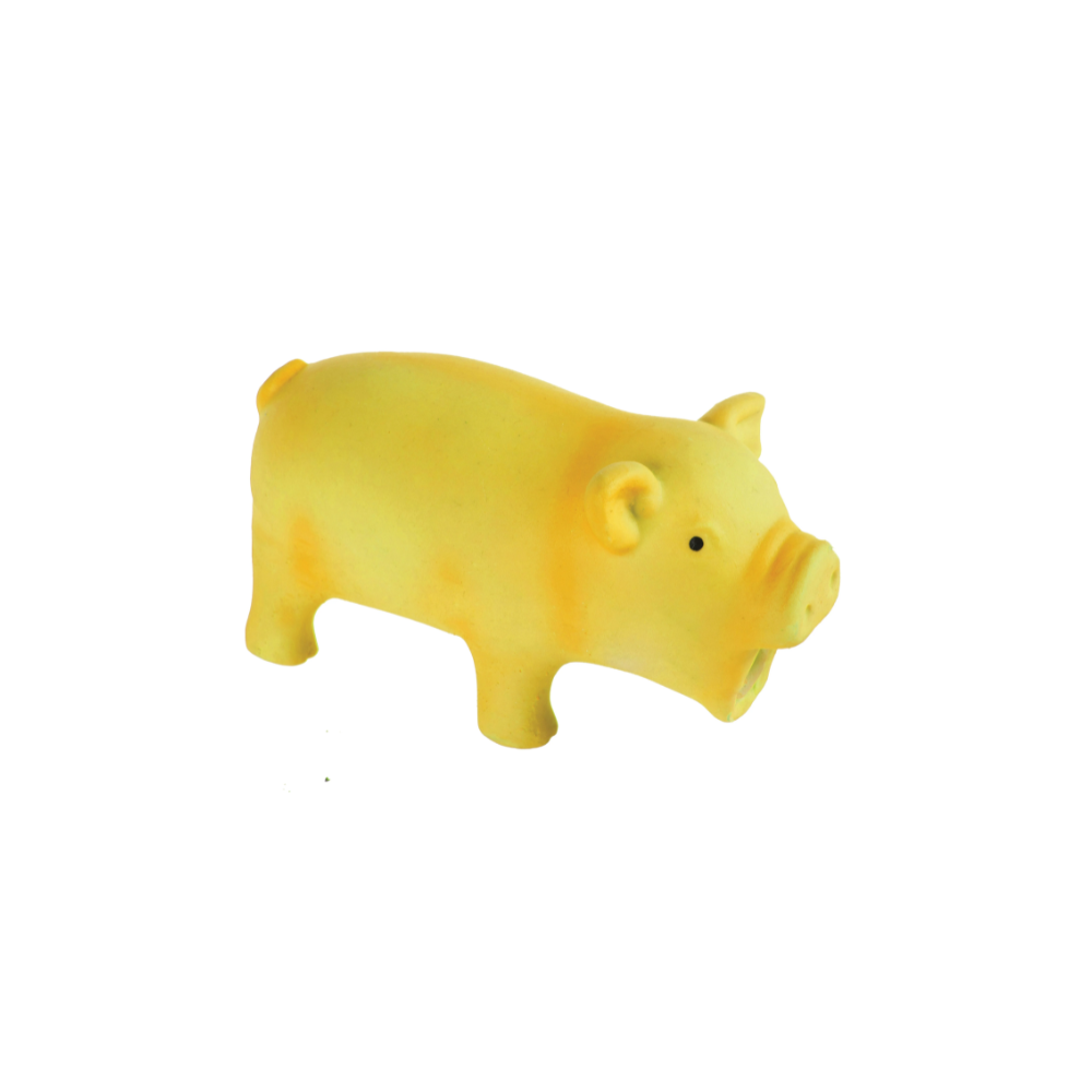 REMY Pigs