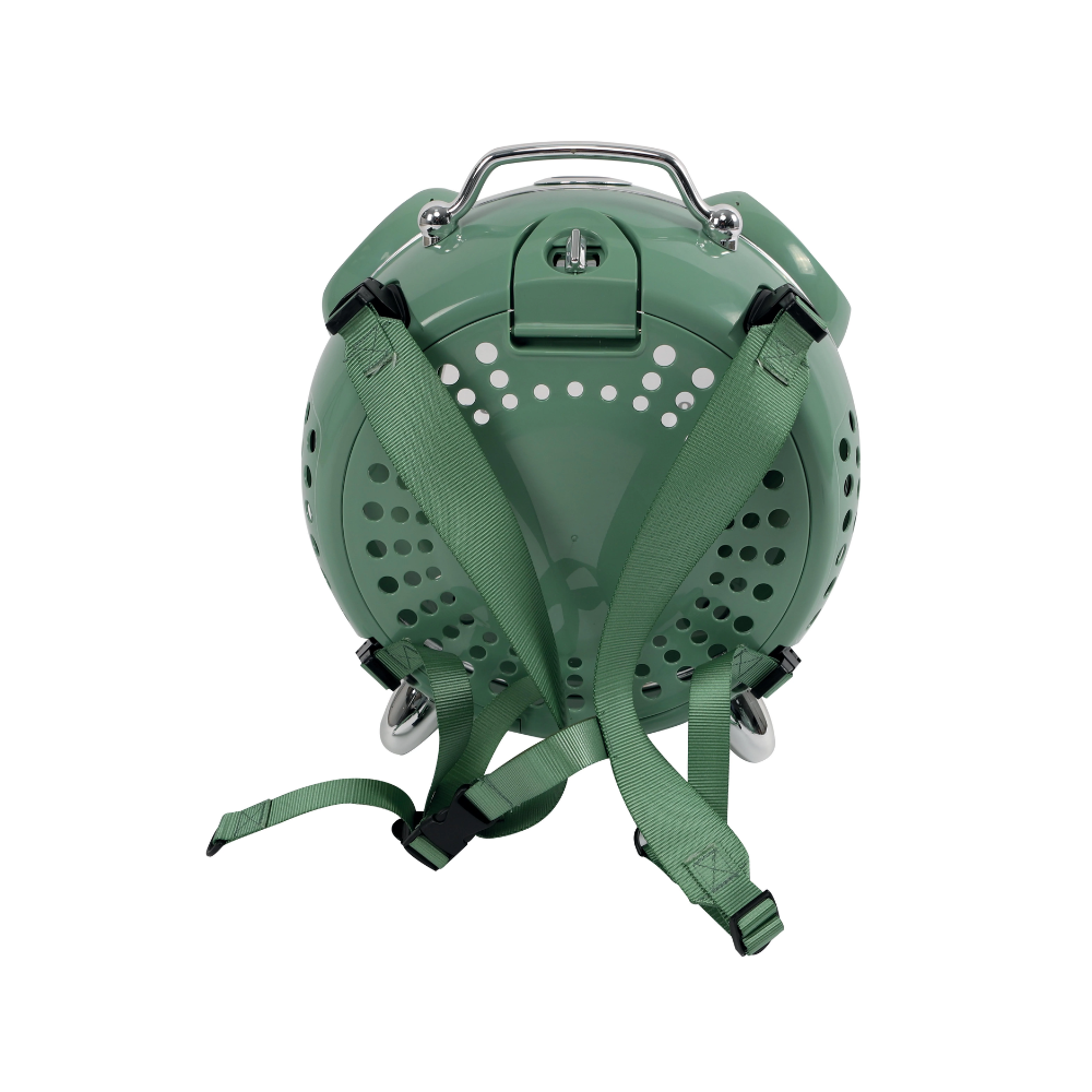 SIXTIES Clock Pet Carrier Green