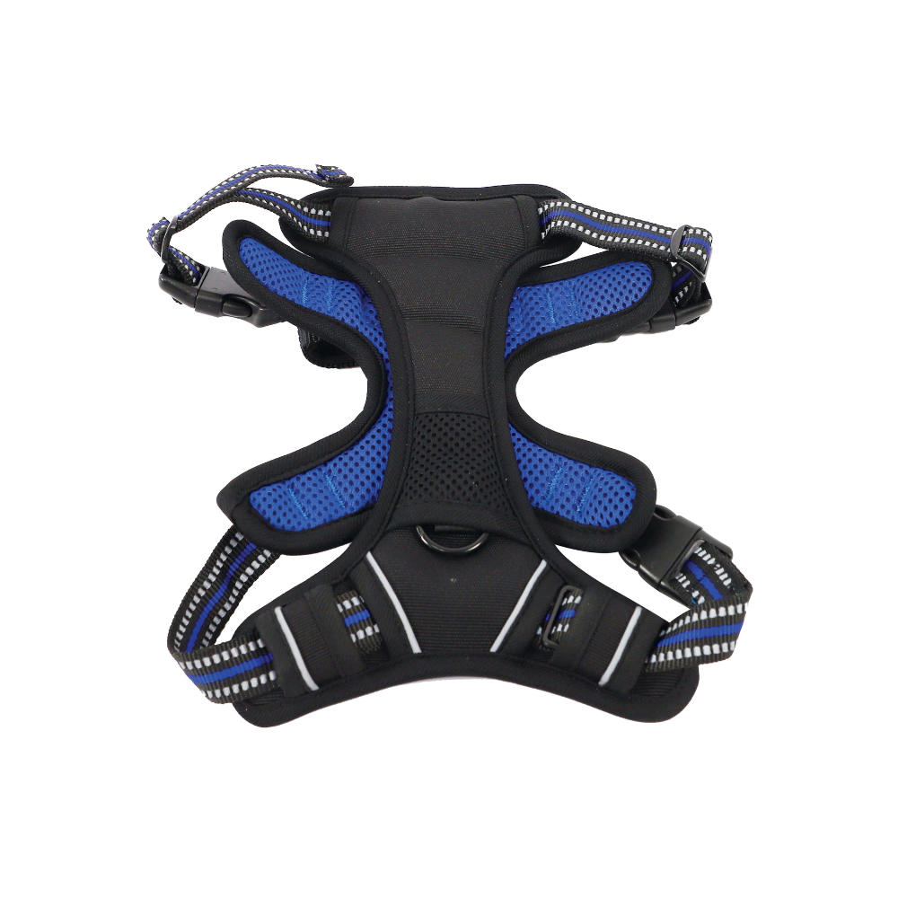 HIKING Harness Blue