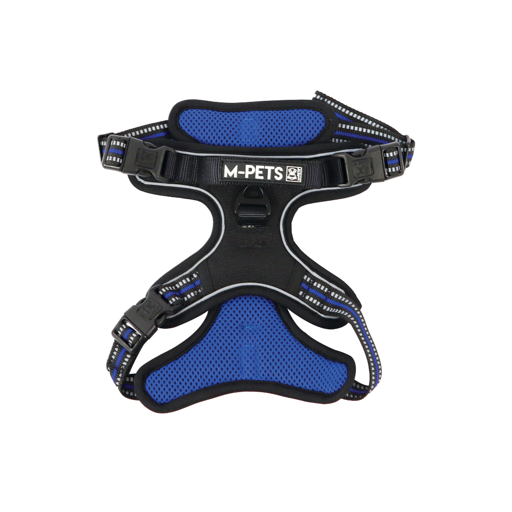 HIKING Harness Blue