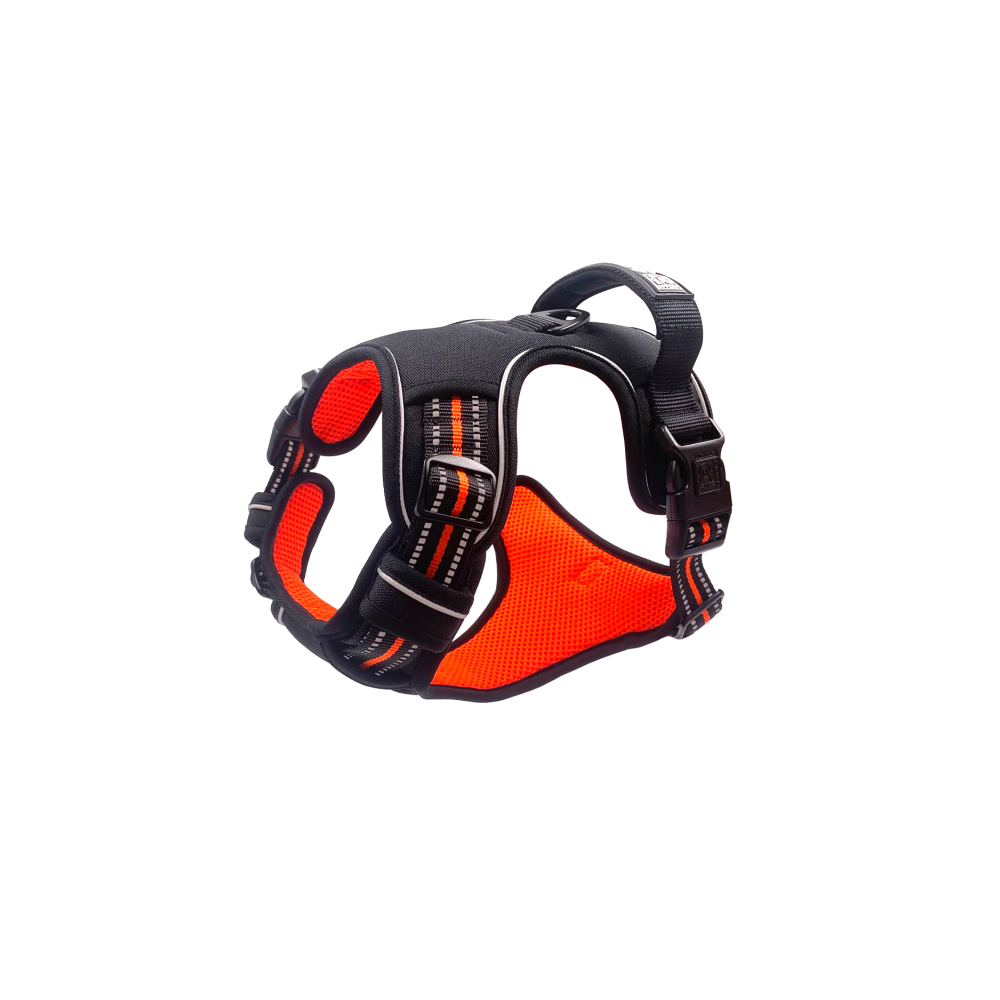 HIKING Harness Orange