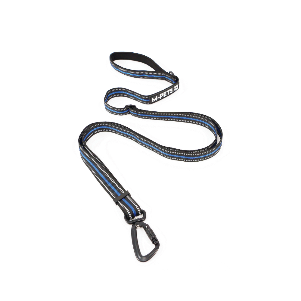 HIKING Leash - Electric Blue