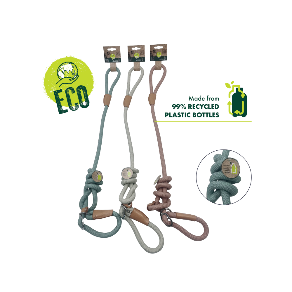 ECO Dog Leash & Collar 2 in 1 White