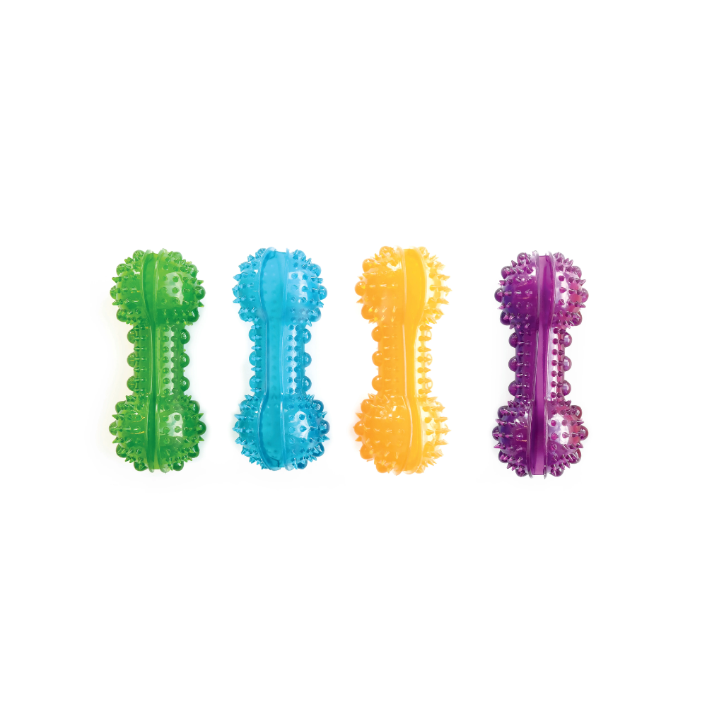 JUPITER Transparent Bones