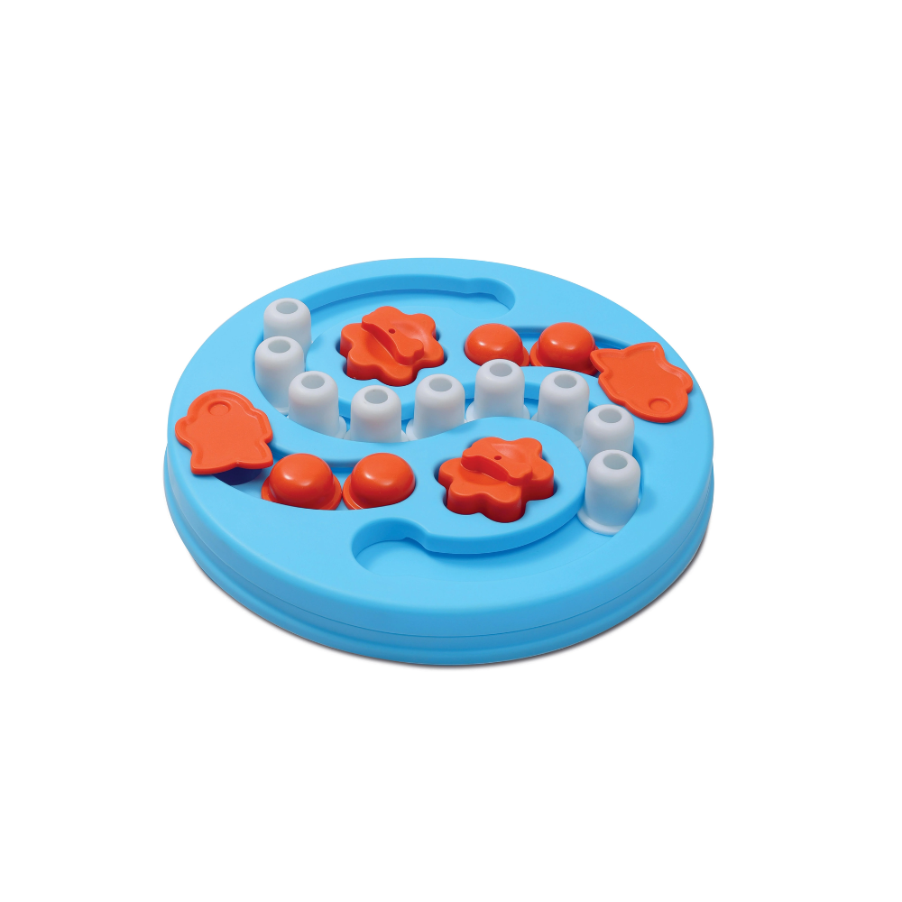 BRAINY GAMES Einstein - L3 Difficult