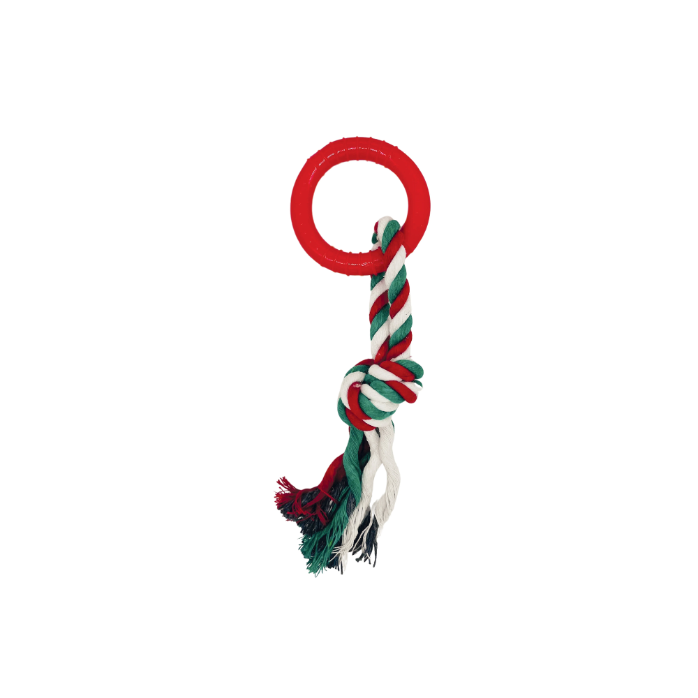 Christmas Cotton Rope Gift Box Dog toys  7 in 1