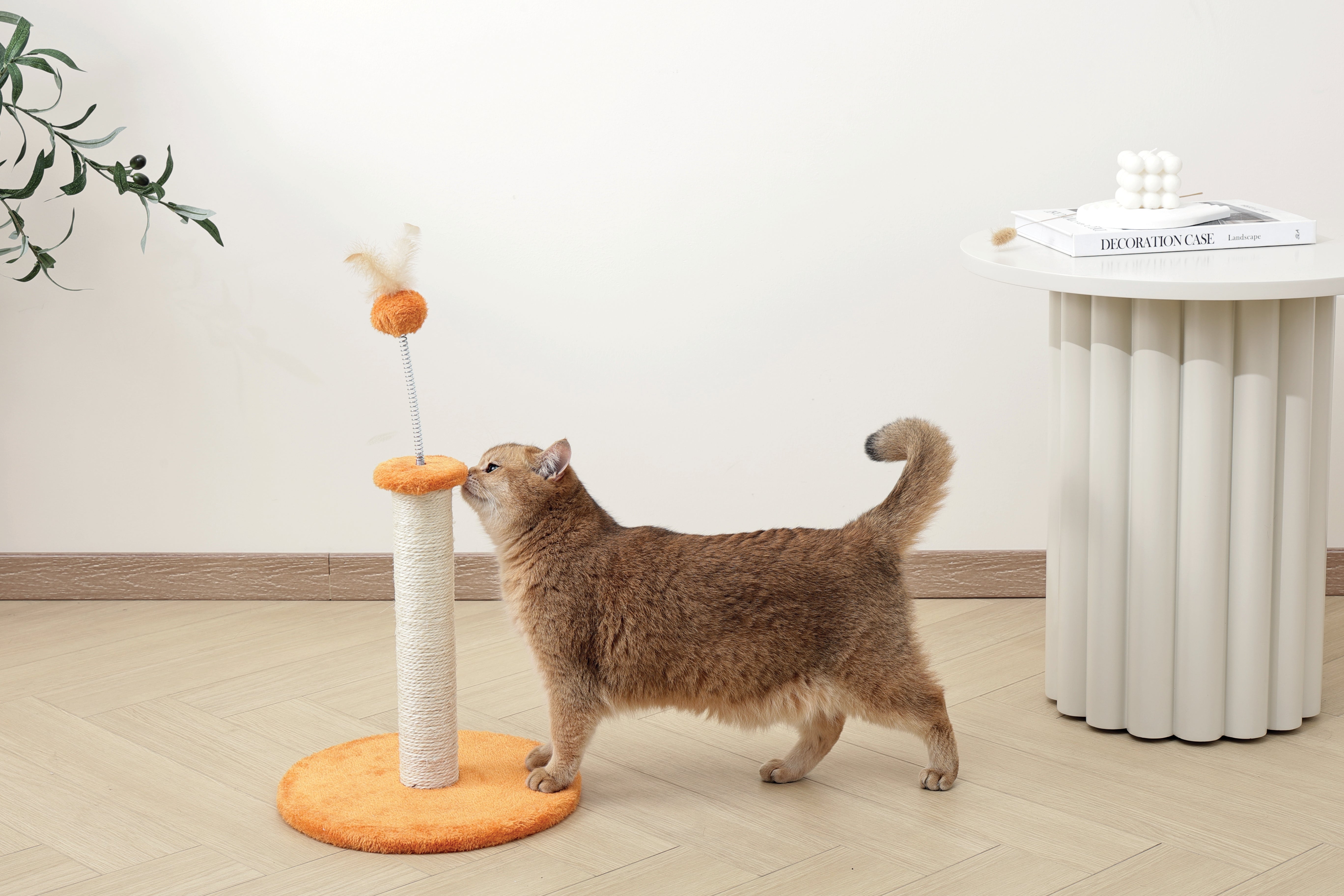 A guide to setting up a cat-friendly home