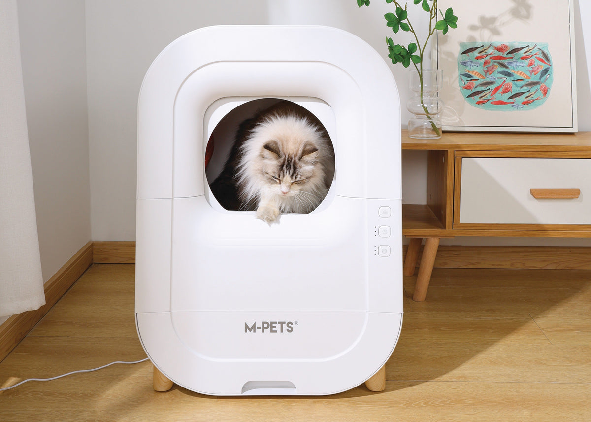Make the switch to an automatic cat litter: everything you need to know