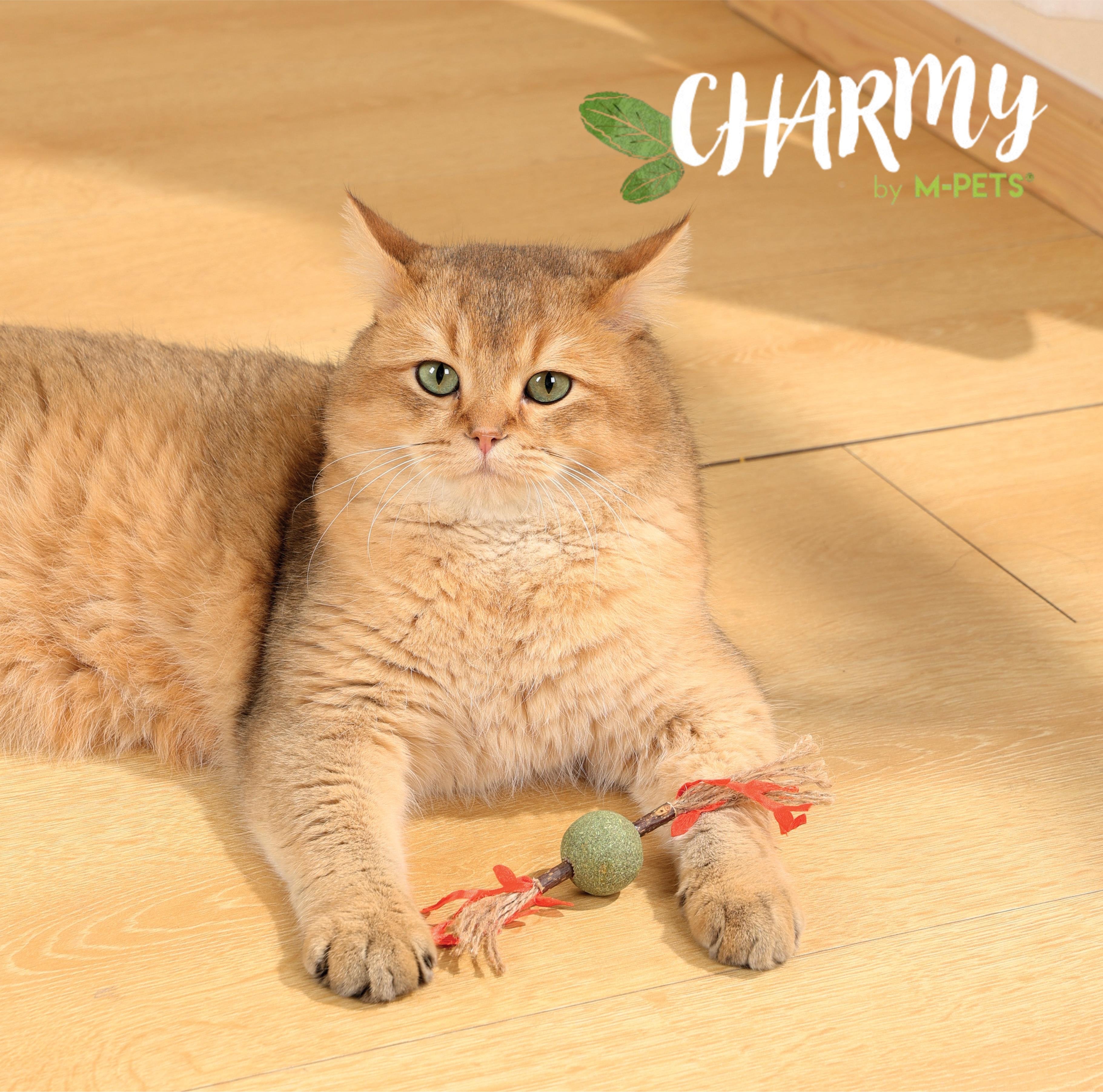 CatNip Toys – M-PETS