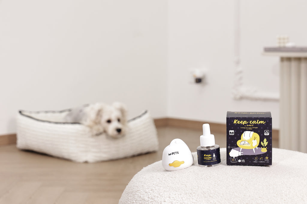 KEEP CALM Calming Pheromone diffuser for DOGS - UK Standard 48ml