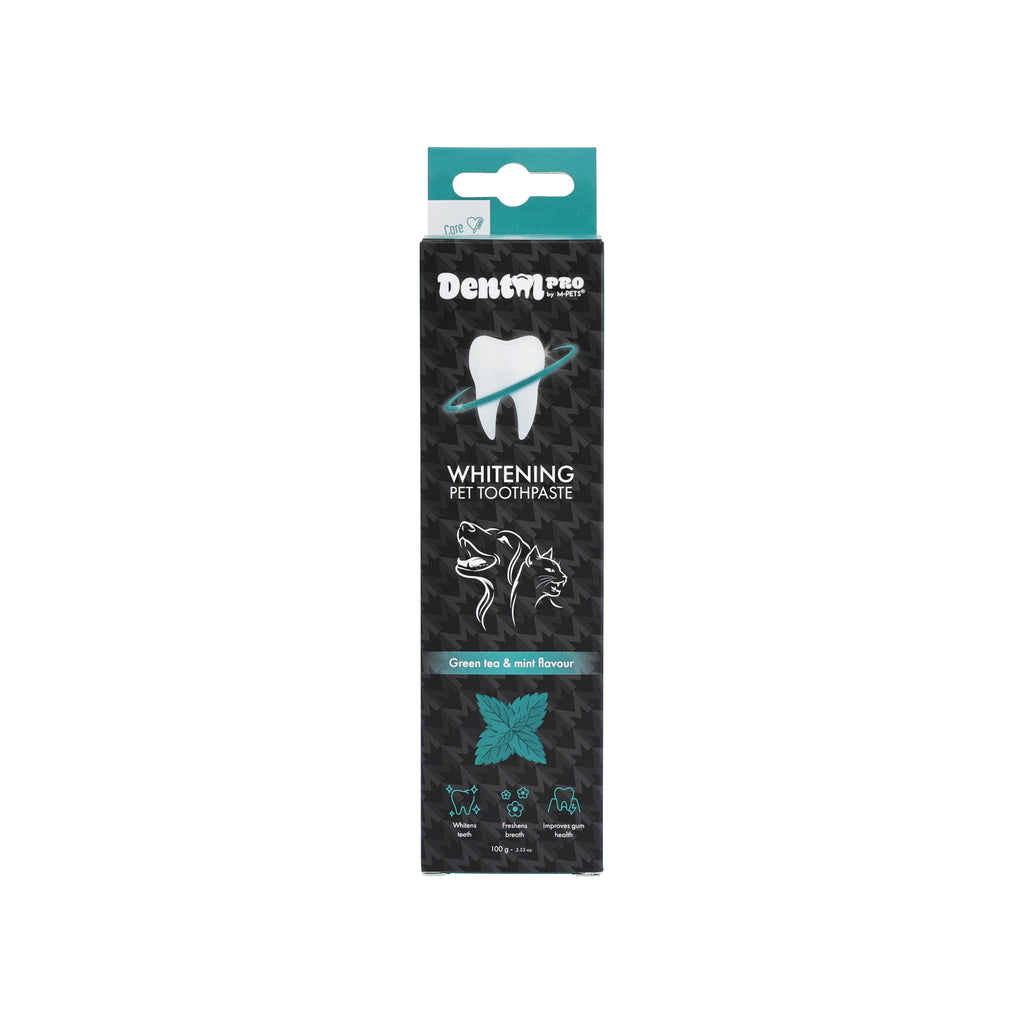 DENTAL CARE PRO WHITENING toothpaste Green tea&mint