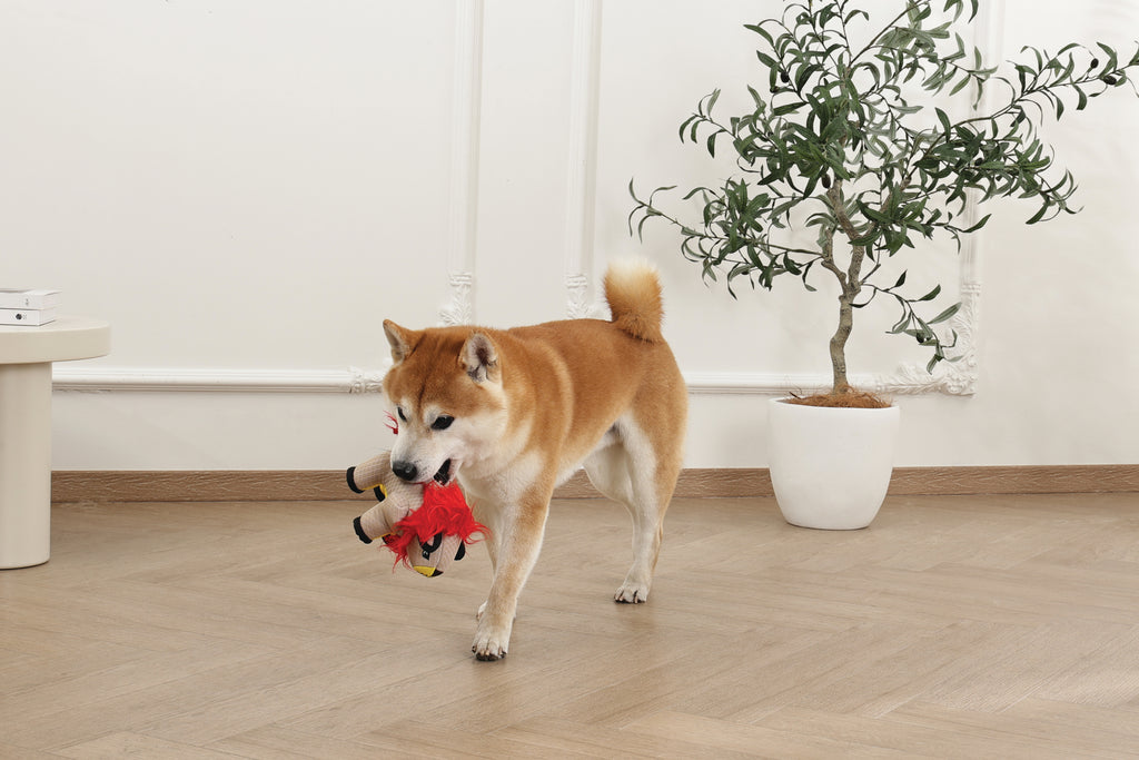 MEGA MINI Dog toy Mini Lion