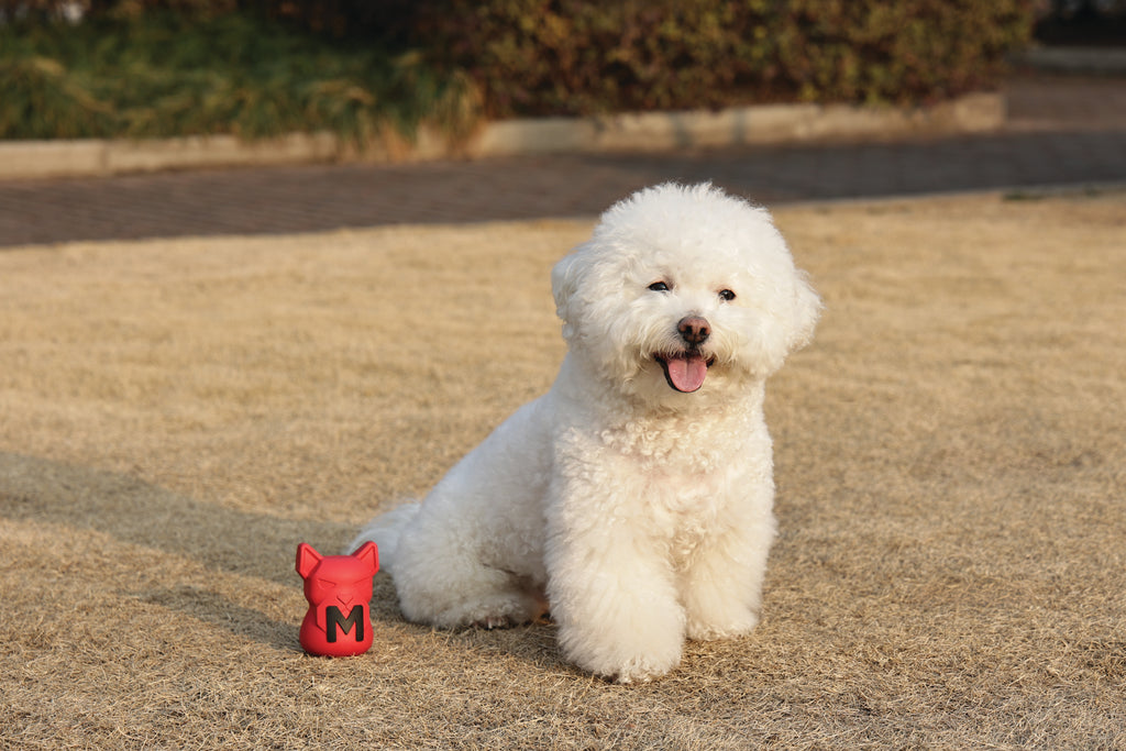 POWER CHEW Dog toy Ruby