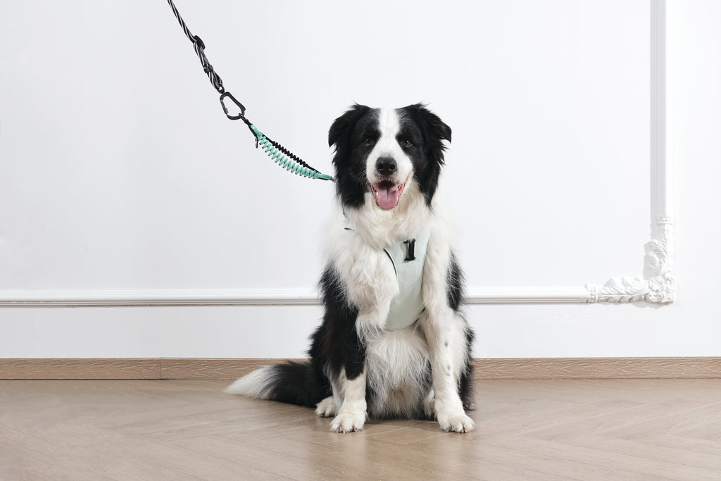 ORIGAMI Dog Harness leafy crease