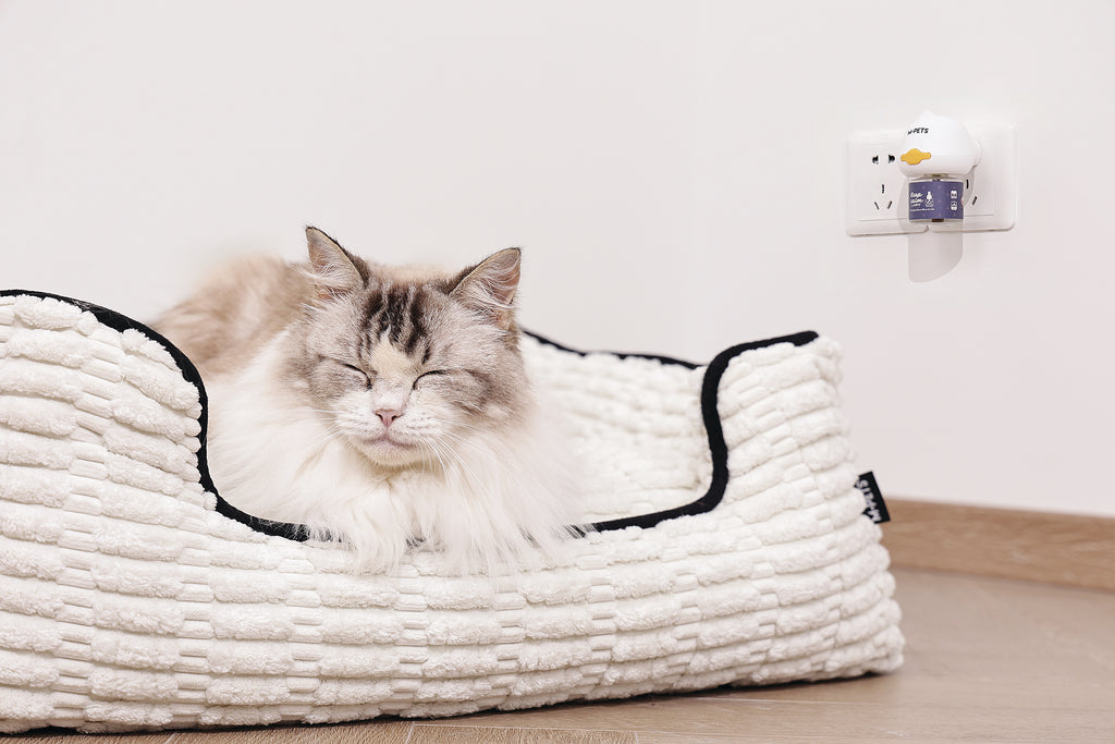 KEEP CALM - Calming Pheromone diffuser for cats -  48ml