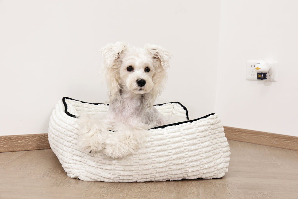 KEEP CALM Calming Pheromone diffuser for DOGS - UK Standard 48ml