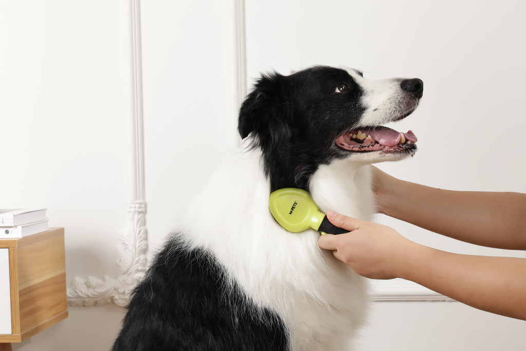 CLICK and GROOM Slicker Brush