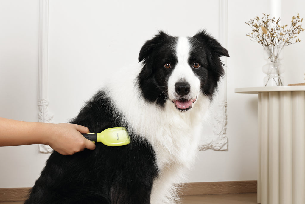CLICK and GROOM Pin Brush