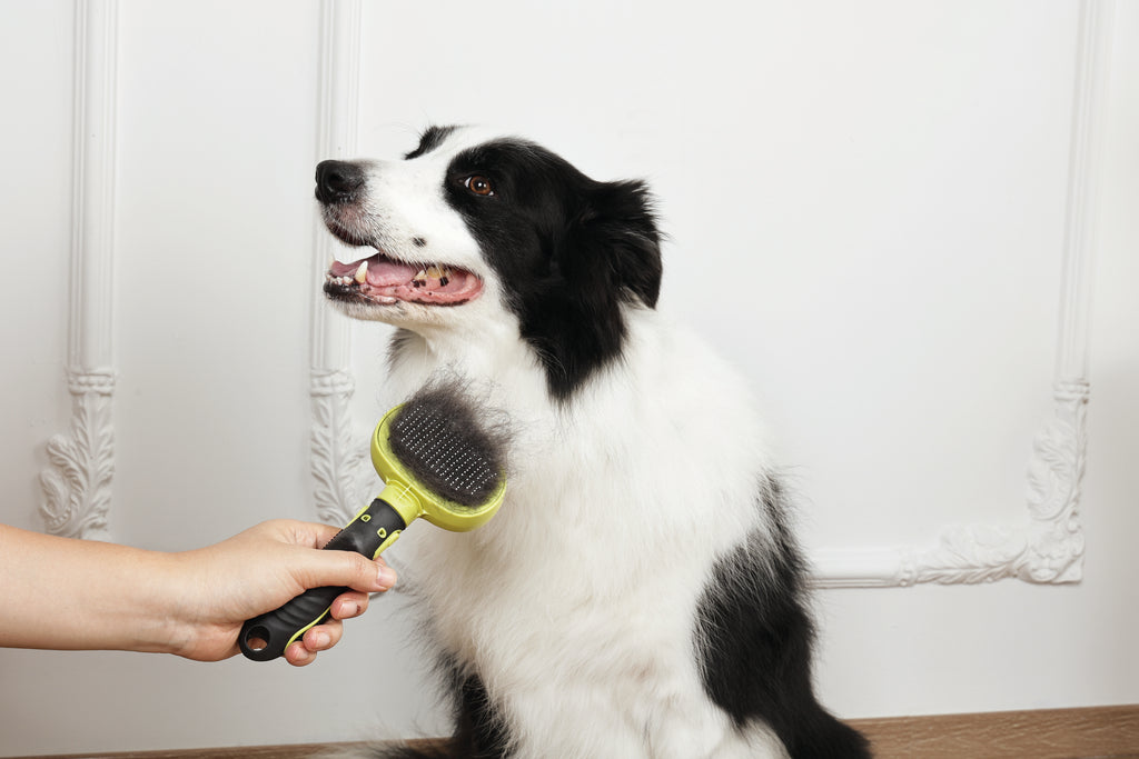CLICK and GROOM 1-click Cleaning Pin