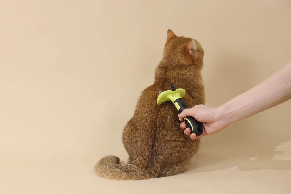 CLICK and GROOM Deshedding Brush