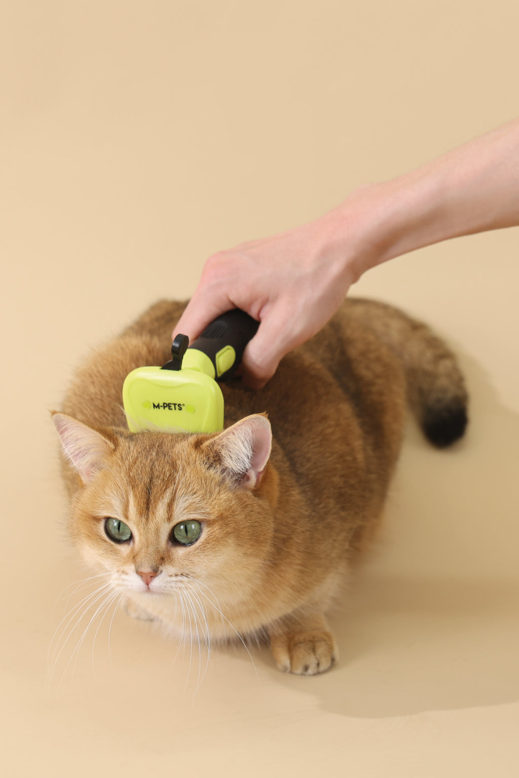 CLICK and GROOM Deshedding Brush