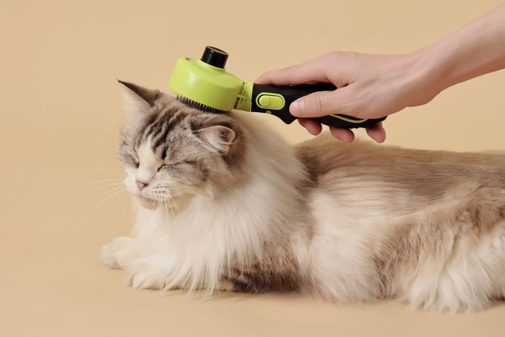 CLICK and GROOM 1-click Cleaning Pin