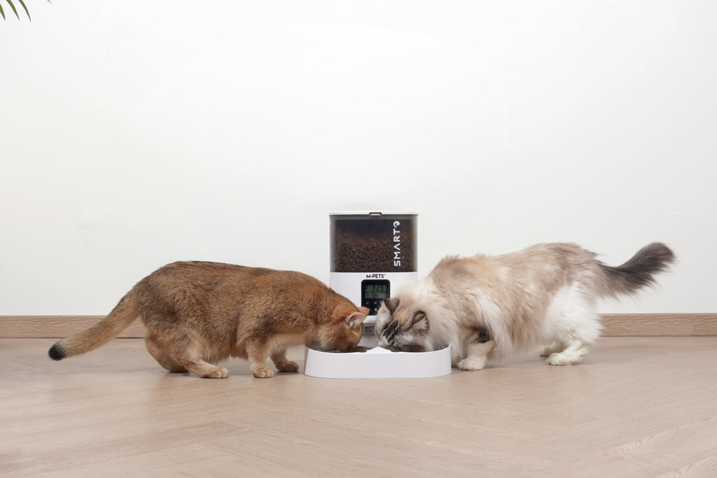 SMARTO M700 4L Automatic Food dispenser