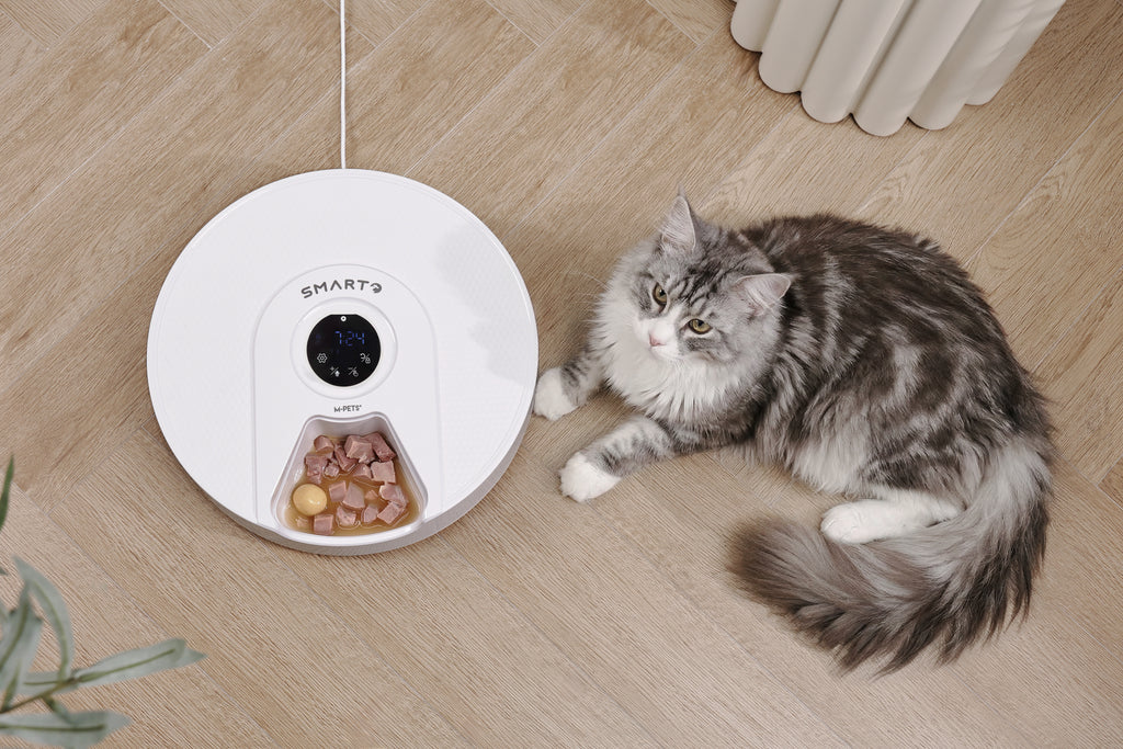 SMARTO M900 Cooling 6 Meal Automatic Food Dispenser