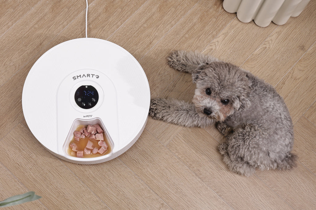 SMARTO M900 Cooling 6 Meal Automatic Food Dispenser