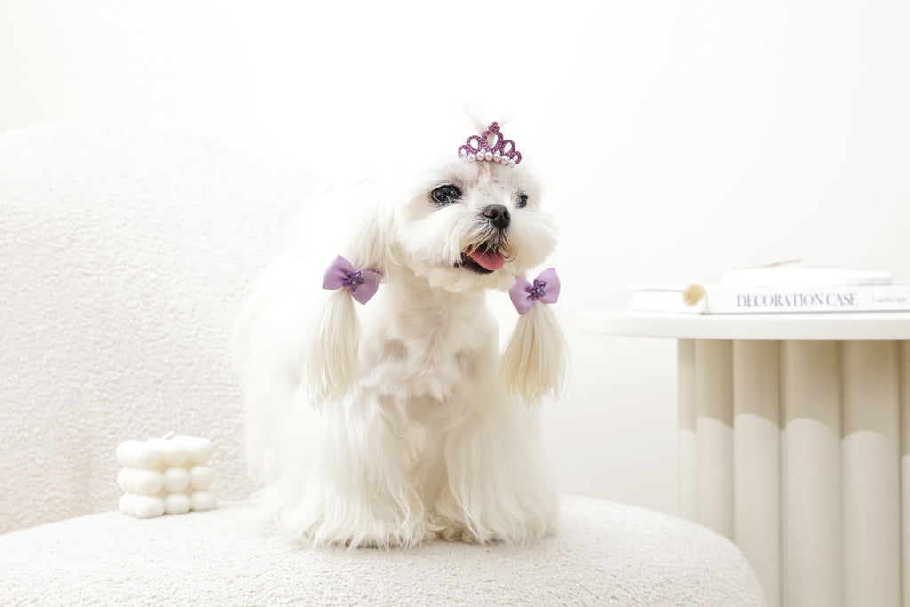 GLAM Hair Accessories for pets clip & rubber - Purple