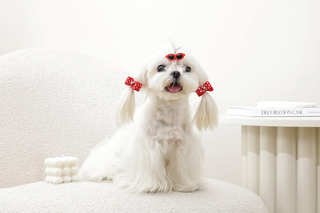 GLAM Hair Accessories for pets clip & rubber band - Red
