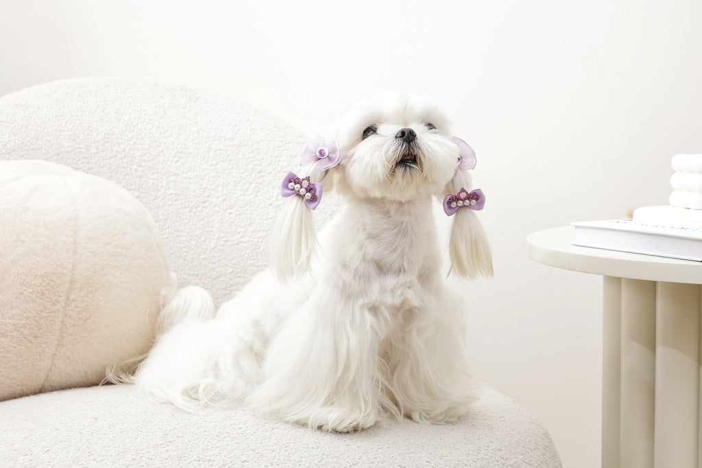 GLAM Hair Accessories for pets rubber band - Purple