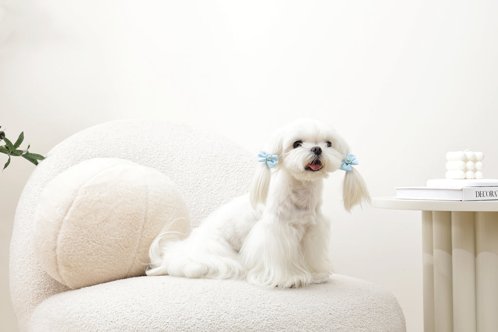 GLAM Hair Accessories for pets rubber band with pearl - Blue