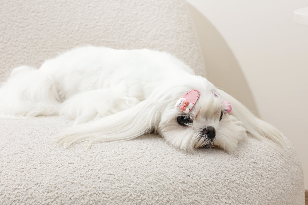 GLAM Hair Accessories for pets clip - Pink