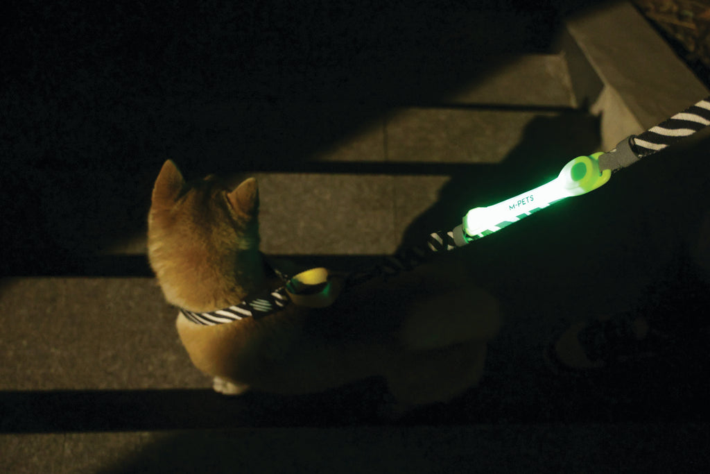 FLASH LED band Green