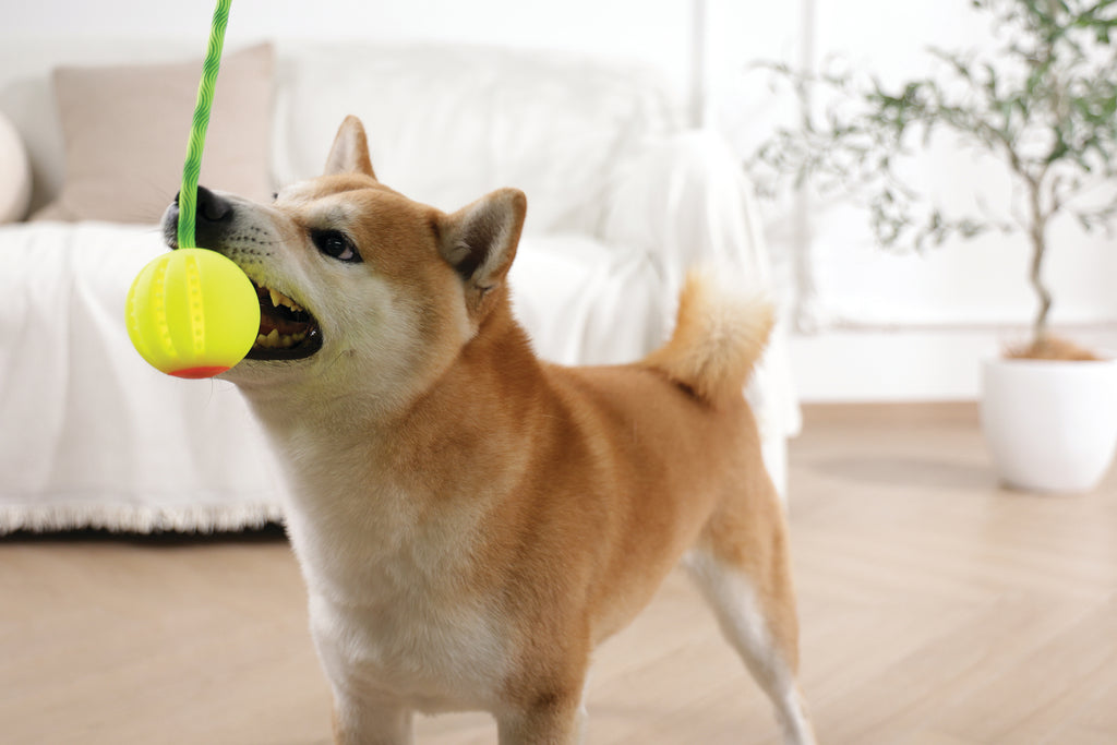 FLASH LED Ball Green